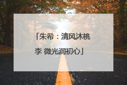 朱希：清风沐桃李 微光润初心