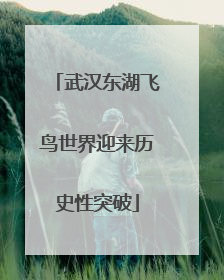 武汉东湖飞鸟世界迎来历史性突破