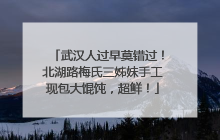 武汉人过早莫错过！北湖路梅氏三姊妹手工现包大馄饨，超鲜！