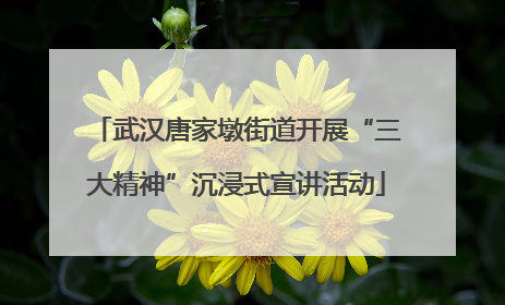 武汉唐家墩街道开展“三大精神”沉浸式宣讲活动
