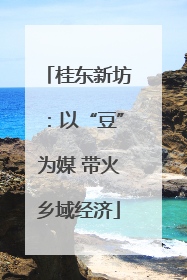 桂东新坊：以“豆”为媒 带火乡域经济