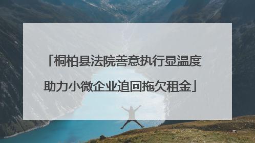 桐柏县法院善意执行显温度 助力小微企业追回拖欠租金