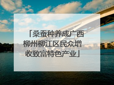 桑蚕种养成广西柳州柳江区民众增收致富特色产业