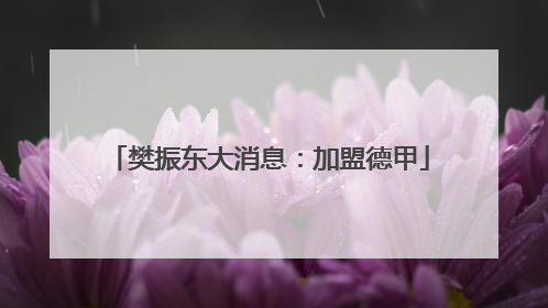 樊振东大消息：加盟德甲