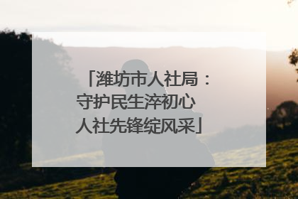 潍坊市人社局：守护民生淬初心 人社先锋绽风采
