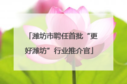 潍坊市聘任首批“更好潍坊”行业推介官