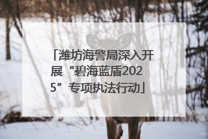 潍坊海警局深入开展“碧海蓝盾2025”专项执法行动