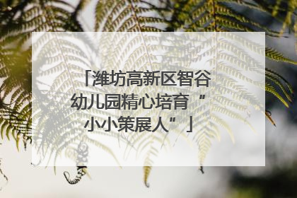潍坊高新区智谷幼儿园精心培育“小小策展人”