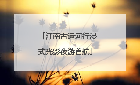 江南古运河行浸式光影夜游首航