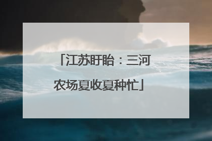 江苏盱眙：三河农场夏收夏种忙