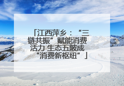 江西萍乡：“三链共振”赋能消费活力 生态五陂成“消费新枢纽”