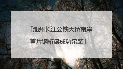 池州长江公铁大桥南岸首片钢桁梁成功吊装