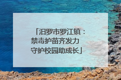 汨罗市罗江镇：禁毒护苗齐发力 守护校园助成长