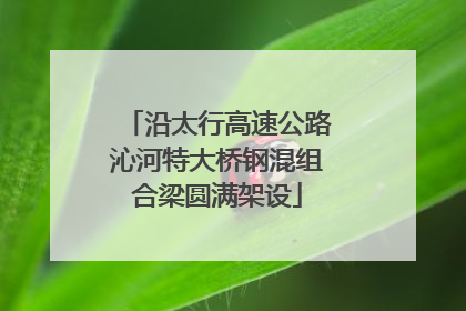 沿太行高速公路沁河特大桥钢混组合梁圆满架设