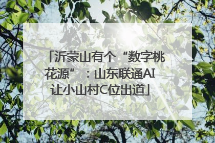 沂蒙山有个“数字桃花源”：山东联通AI让小山村C位出道