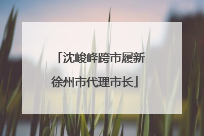 沈峻峰跨市履新徐州市代理市长