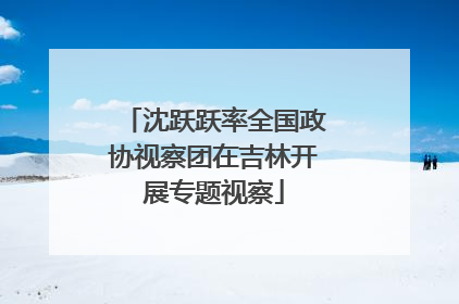 沈跃跃率全国政协视察团在吉林开展专题视察