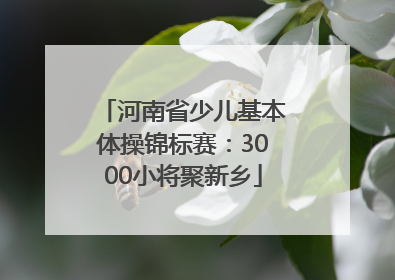 河南省少儿基本体操锦标赛：3000小将聚新乡