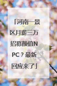 河南一景区月薪三万招募颜值NPC？最新回应来了