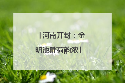 河南开封：金明池畔荷韵浓