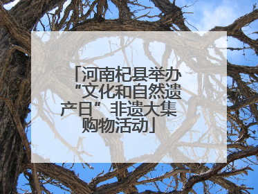 河南杞县举办“文化和自然遗产日”非遗大集购物活动