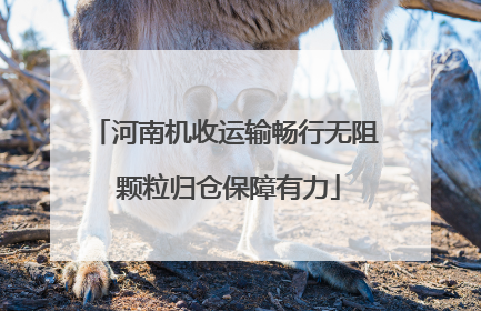 河南机收运输畅行无阻 颗粒归仓保障有力