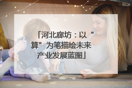 河北廊坊：以“算”为笔描绘未来产业发展蓝图