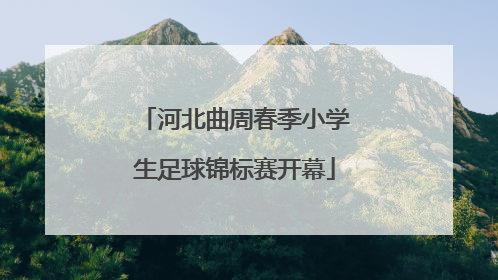 河北曲周春季小学生足球锦标赛开幕