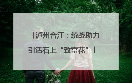 泸州合江：统战助力引活石上“致富花”