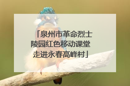 泉州市革命烈士陵园红色移动课堂走进永春高峰村