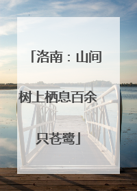 洛南：山间树上栖息百余只苍鹭