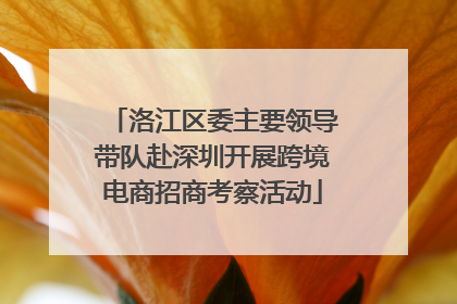 洛江区委主要领导带队赴深圳开展跨境电商招商考察活动