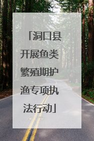 洞口县开展鱼类繁殖期护渔专项执法行动