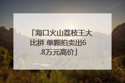 海口火山荔枝王大比拼 单颗拍卖出6.8万元高价