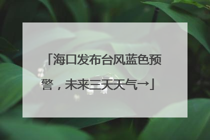 海口发布台风蓝色预警，未来三天天气→