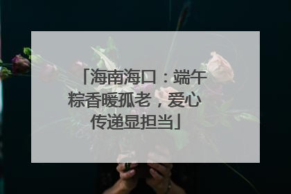 海南海口：端午粽香暖孤老，爱心传递显担当