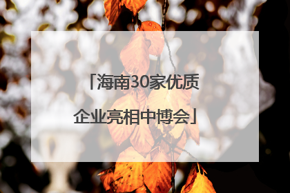 海南30家优质企业亮相中博会