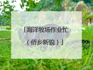 海洋牧场作业忙（侨乡新貌）