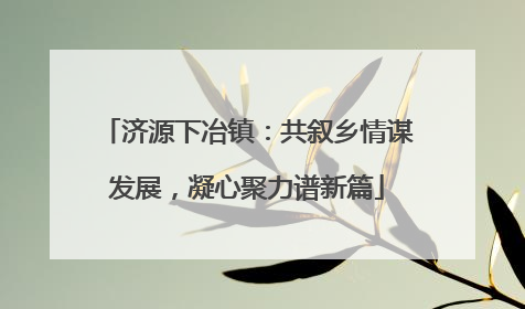 济源下冶镇：共叙乡情谋发展，凝心聚力谱新篇