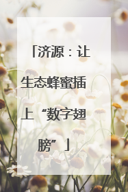 济源：让生态蜂蜜插上“数字翅膀”