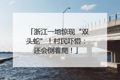 浙江一地惊现“双头蛇”！村民吓懵：还会倒着爬！