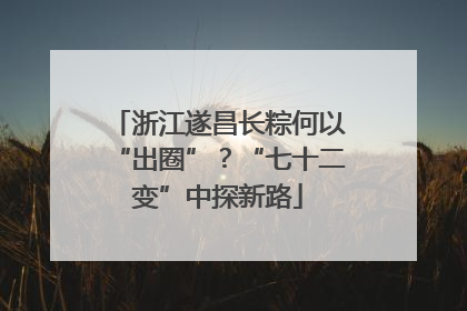 浙江遂昌长粽何以“出圈”？“七十二变”中探新路