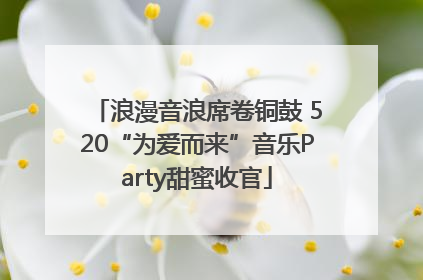 浪漫音浪席卷铜鼓 520“为爱而来”音乐Party甜蜜收官