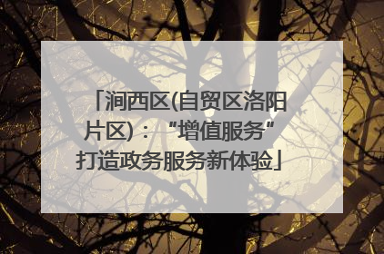 涧西区(自贸区洛阳片区)：“增值服务”打造政务服务新体验