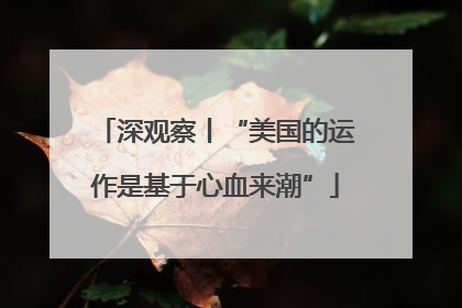 深观察丨“美国的运作是基于心血来潮”