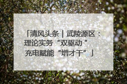 清风头条｜武陵源区：理论实务“双驱动 ” 充电赋能“增才干”