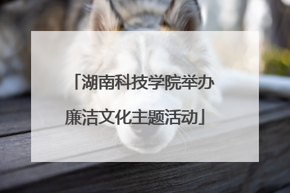 湖南科技学院举办廉洁文化主题活动