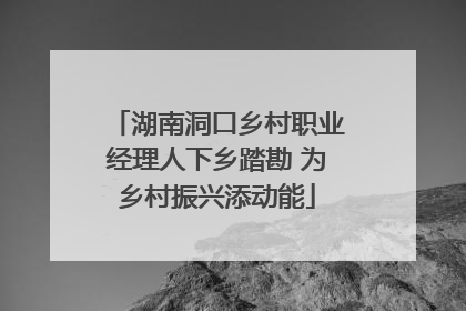 湖南洞口乡村职业经理人下乡踏勘 为乡村振兴添动能