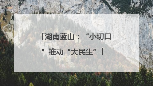 湖南蓝山：“小切口”推动“大民生”