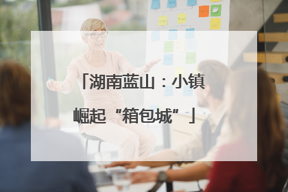 湖南蓝山：小镇崛起“箱包城”